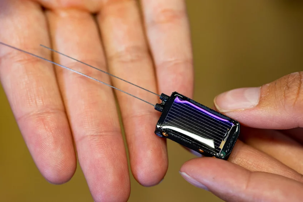 ICARUS KI Nahaufnahme des ICARUS Senders zur Tierortung, in der Hand, so groß wie ein Finger
