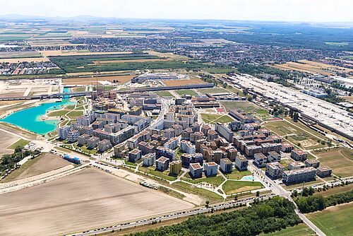 positionen - "Wir bauen Städte - am liebsten aus Holz!"